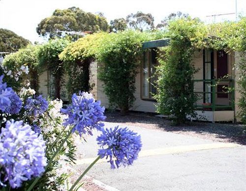 West City Motel Ardeer Extérieur photo