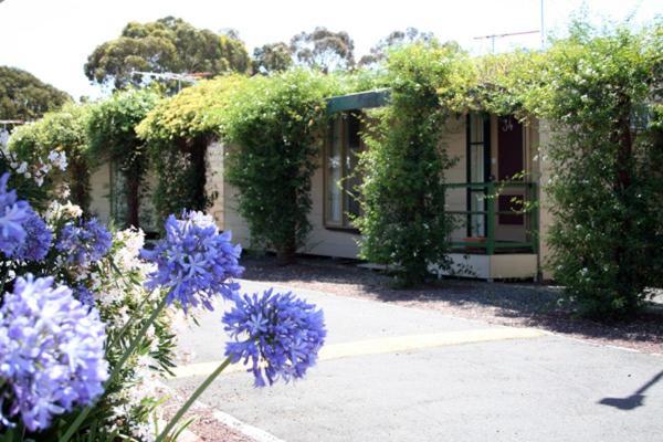West City Motel Ardeer Extérieur photo